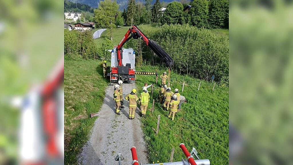 Kalb stürzt in Goldegg in Schacht