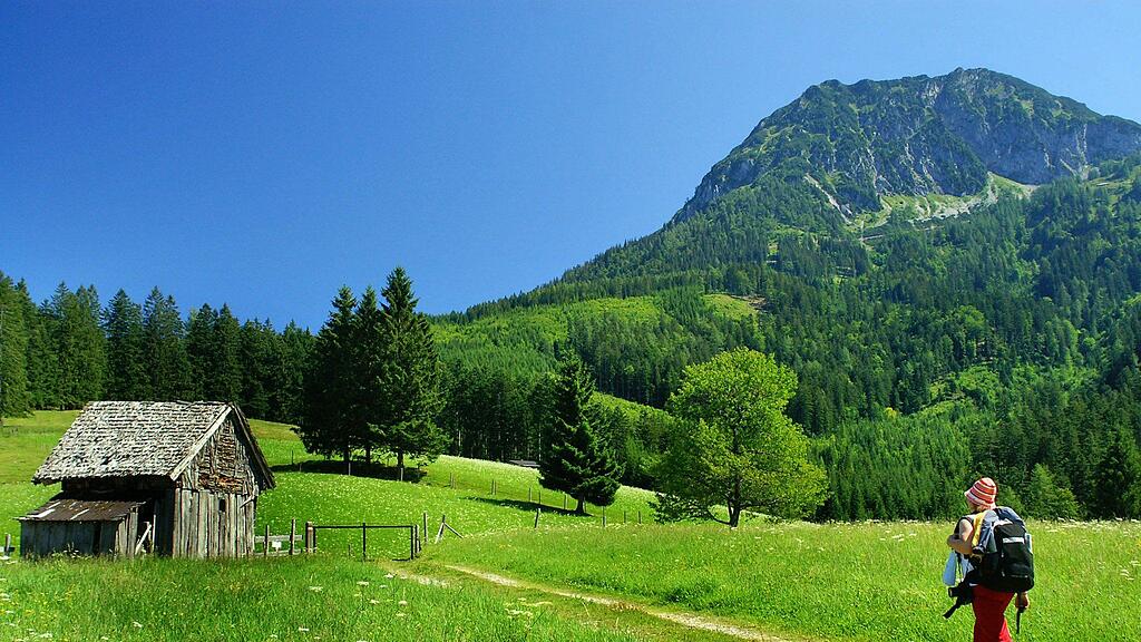 Die Wanderin zog sich eine Rissquetschwunde am Kopf und eine Knöchelverletzung zu.
