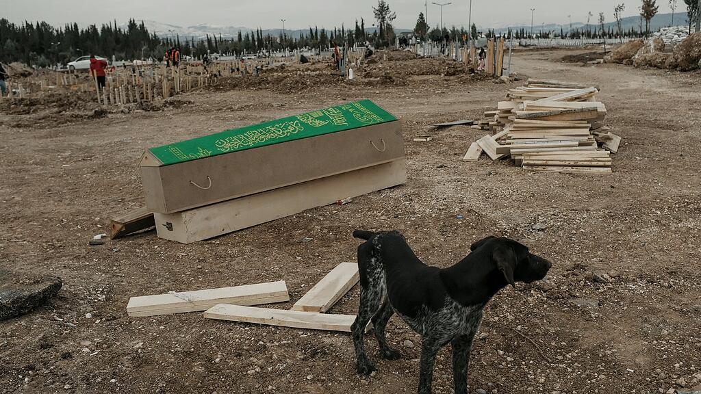 Bilder aus Syrien und der Türkei