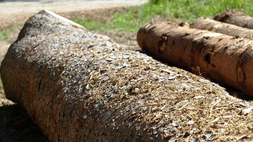Tödlicher Forstunfall in Pöndorf