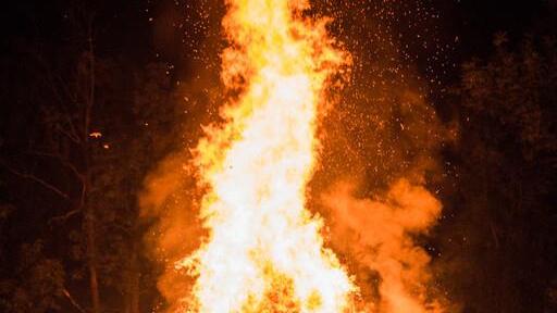 Burning Animal I