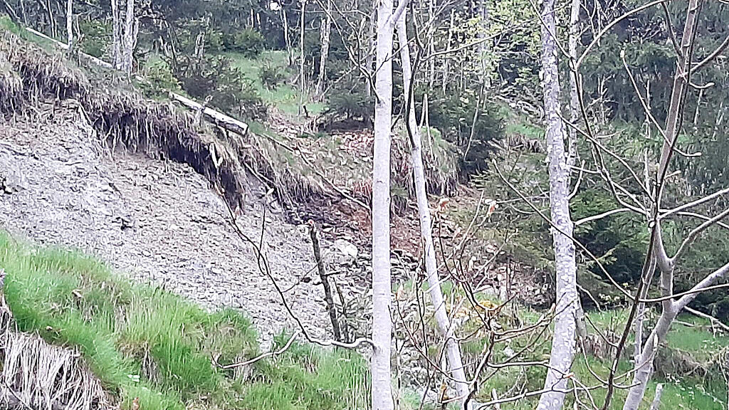 Thumersbach_Hangrutsch