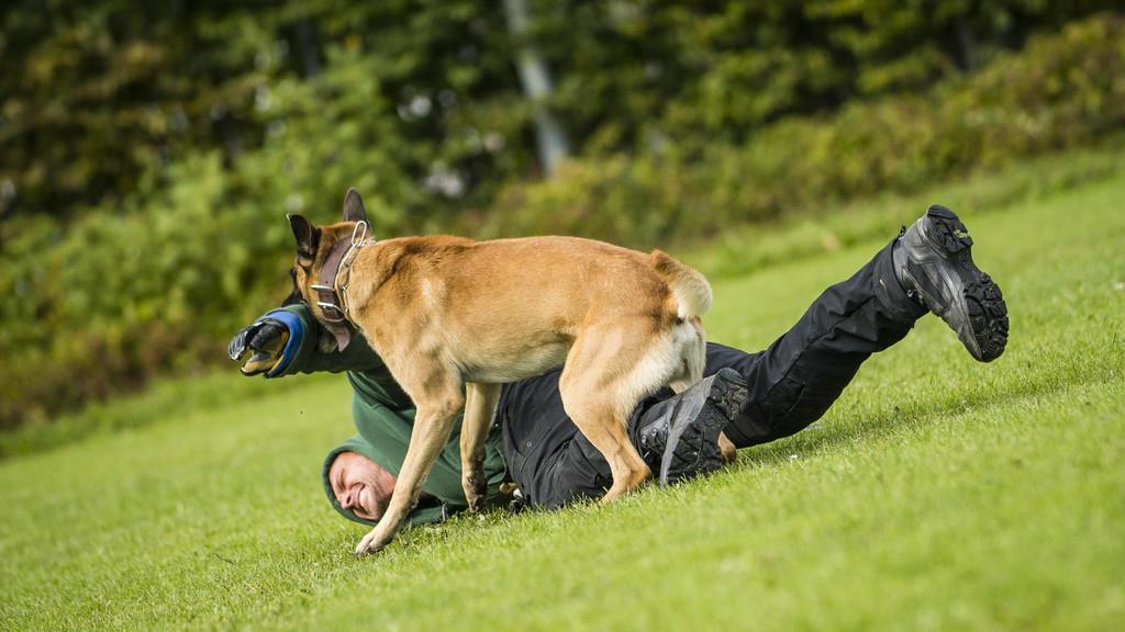Tag der Polizei II