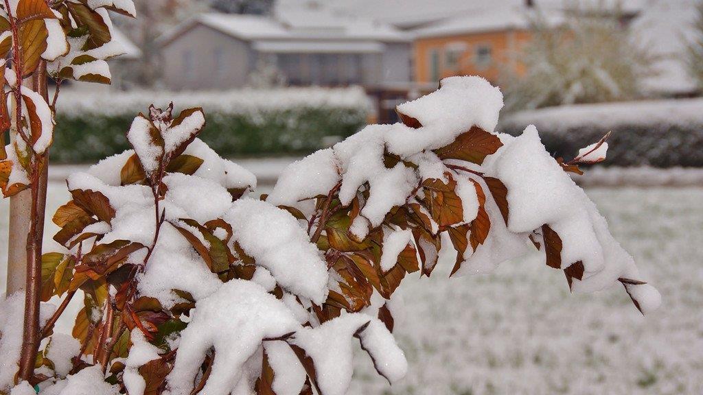 Winterwetter in Oberösterreich