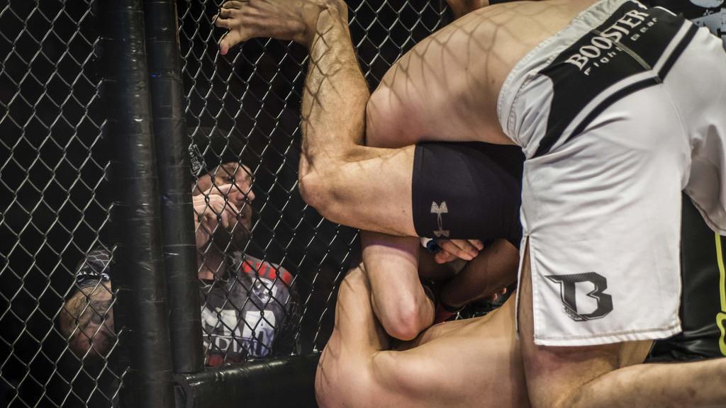 Aggrelin II
