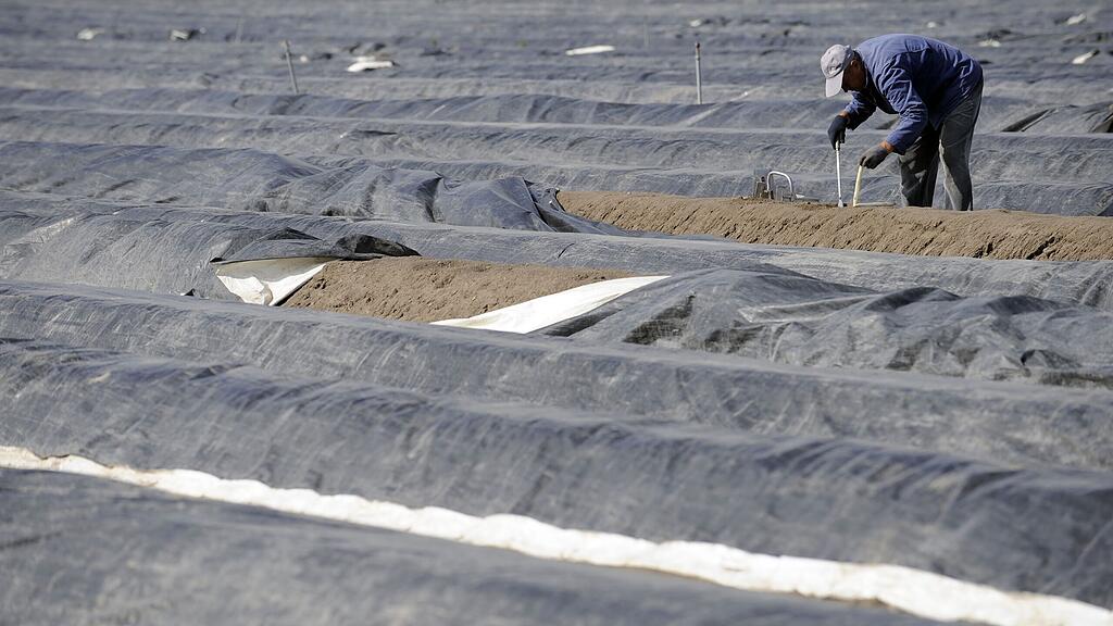symb_Erntehelfer, symb_acker, symb_landwirtschaft
