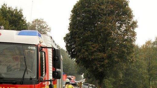 Pkw prallt in Baum
