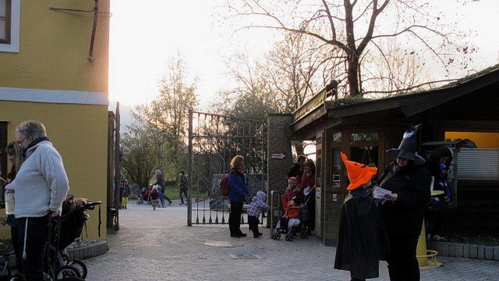 Halloween im Zoo, II