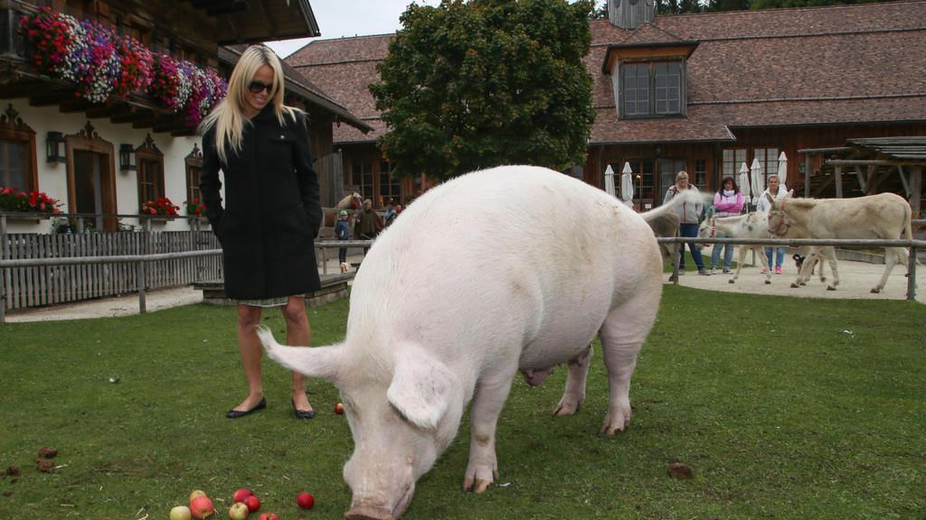 Pamela Anderson auf Gut Aiderbichl