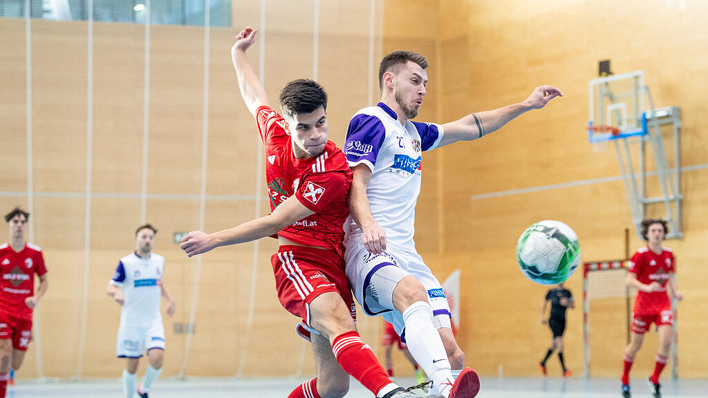 UFC Hallein, Landesmeister