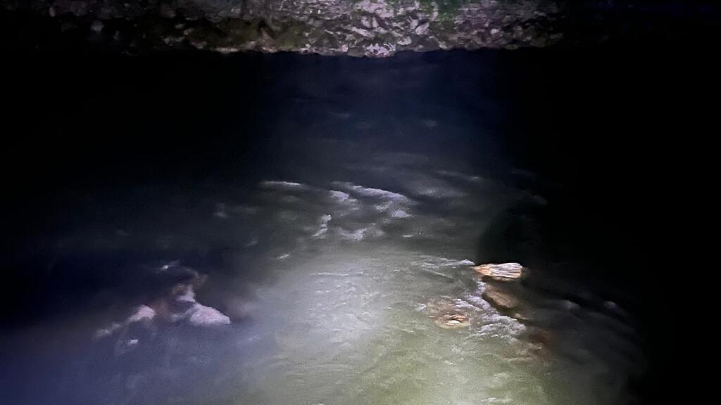 Fast 200 Einsatzkräfte waren bei der Suchaktion an der Salzach im Pongau beteiligt.
