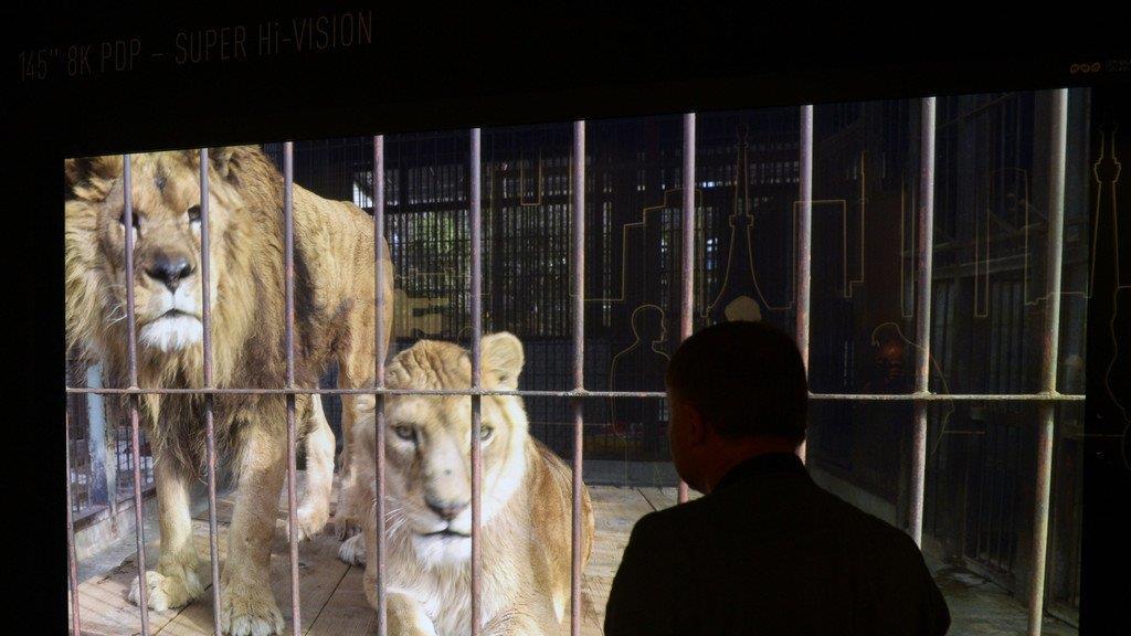 IFA 2012: Pressetag