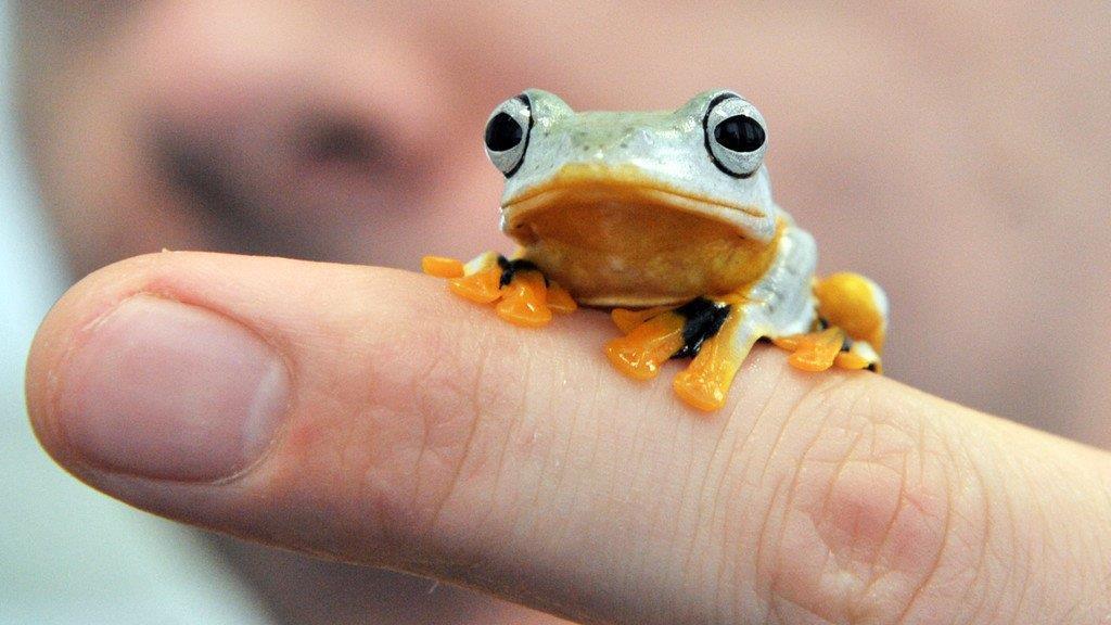 Die beeindruckensten Tierbilder KW 17
