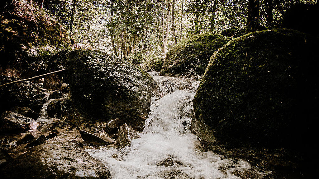 Alterbach, Gaisberg-3.jpg