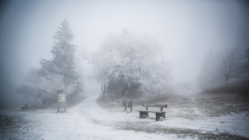 Schnee am Gaisberg