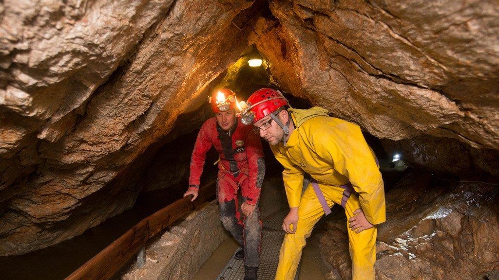 Bergung aus Lamprechtshöhle