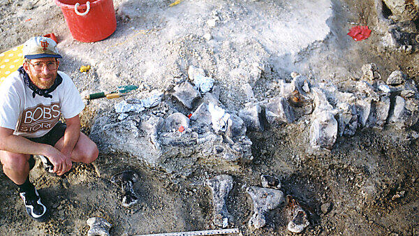 Der Dinosaurierfuß wurde bereits vor 20 Jahren in Wyoming entdeckt