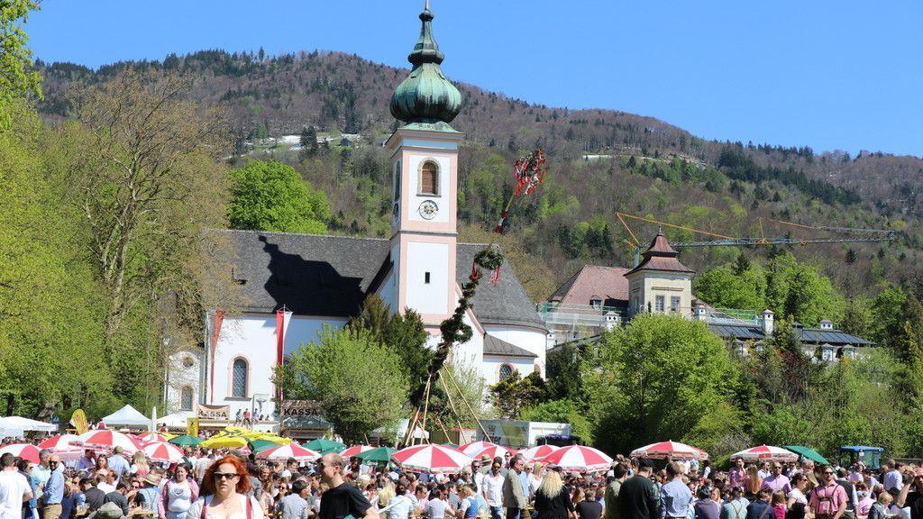 Maibaumaufstellen in Aigen