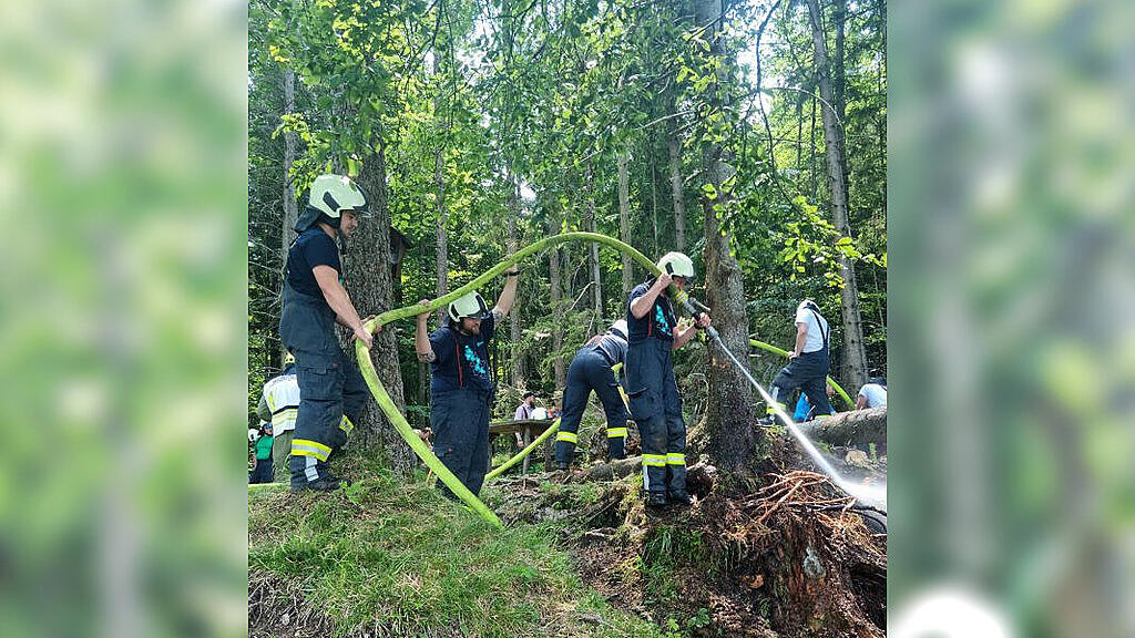 Waldbrand Bad Ischl