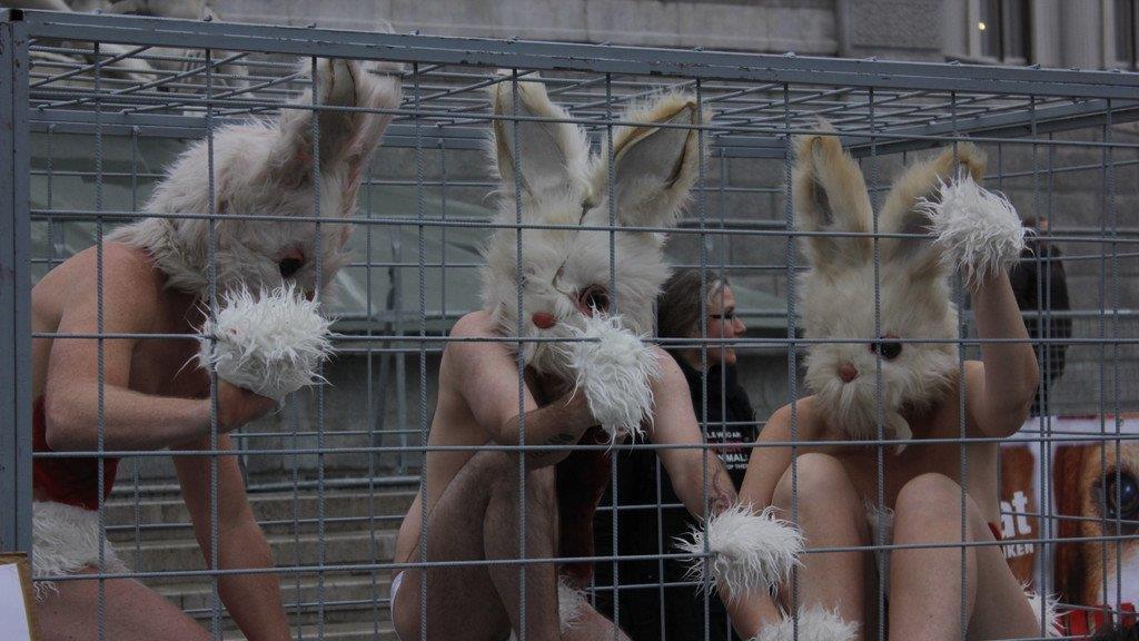 Tierschützerinnen protestieren nackt vor Parlament (Käfige)