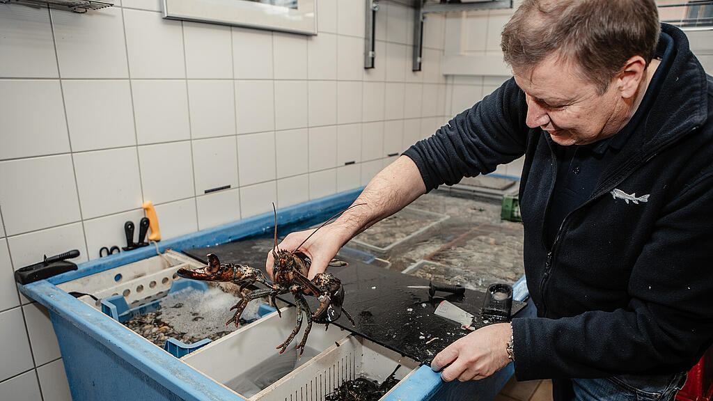 Walter Grüll, Sonntagstalk, Fisch, Fischzüchter