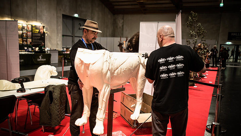 Hohe Jagd und Fischerei