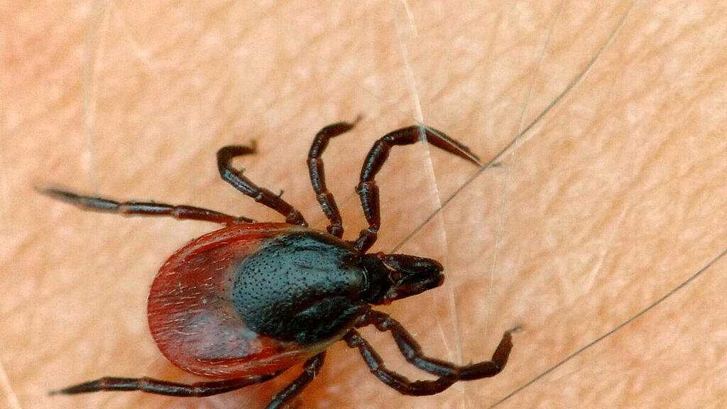 Plus von zwei auf 27 Erkrankte innerhalb weniger Wochen