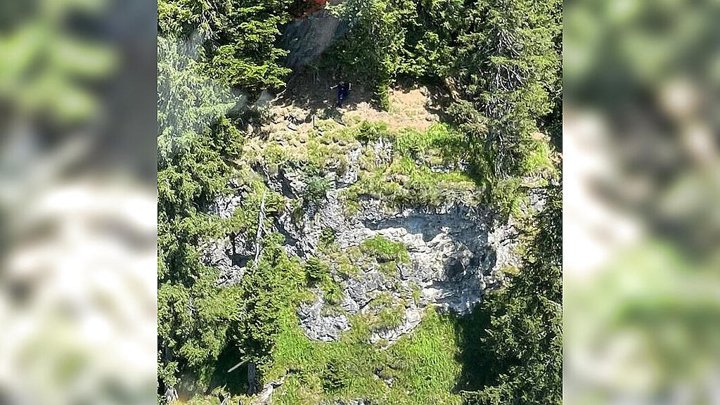 Bergnot beim Schwammerlsuchen