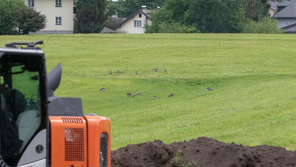 Baustelle am Almkanal
