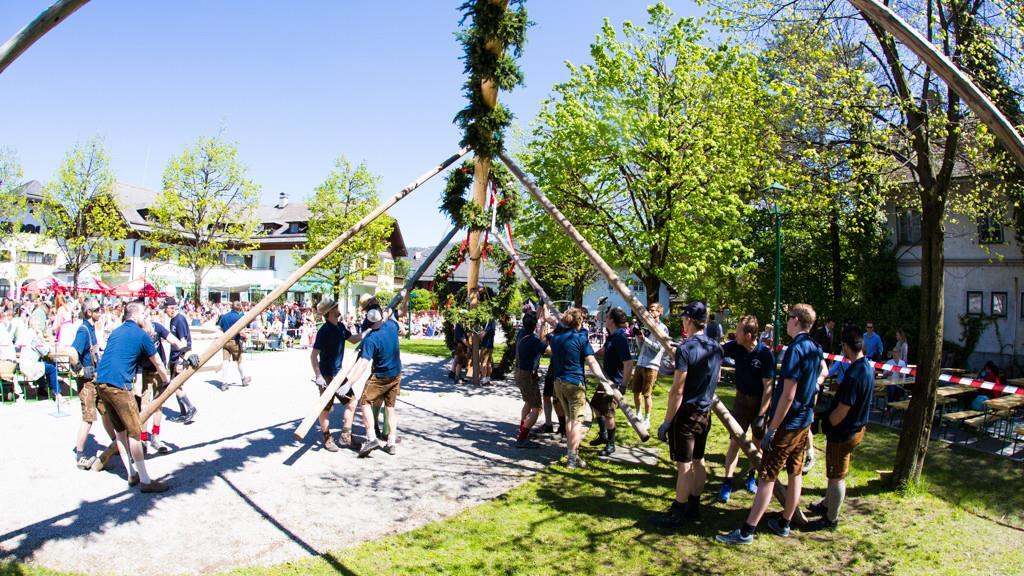 Maibaum in Anif