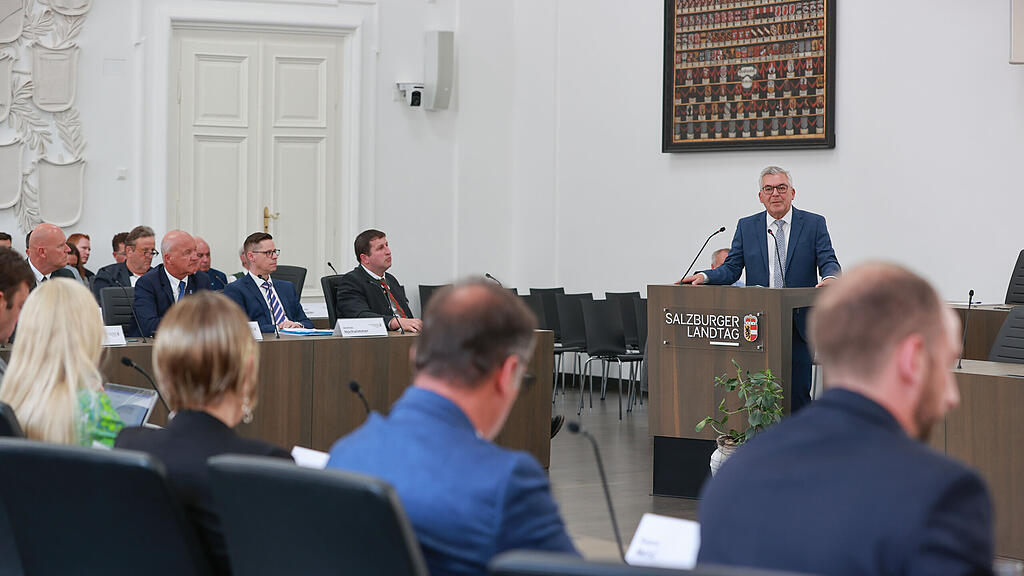 schwaiger hearing salzburger landesregierung