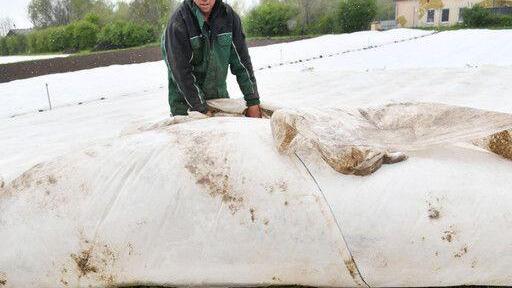 Kampf gegen Frost in Wals