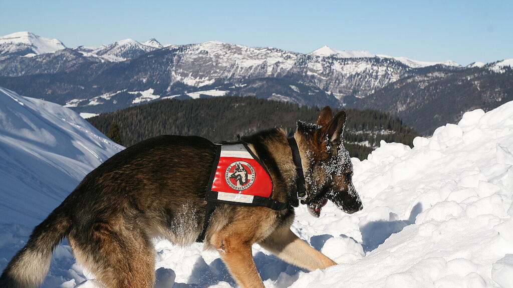 Lawinenhundetraining Annaberg Donnerkogel