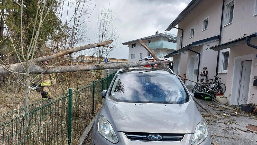 Sturm Elixhausen