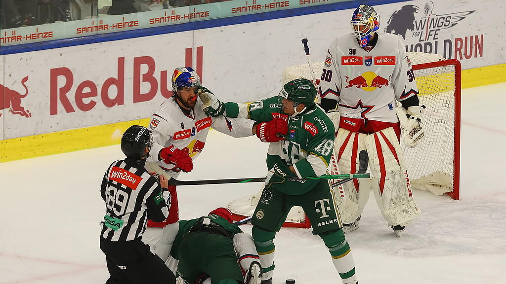 ICE Hockey League: EC Red Bull Salzburg gegen Ferencvaros Budapest