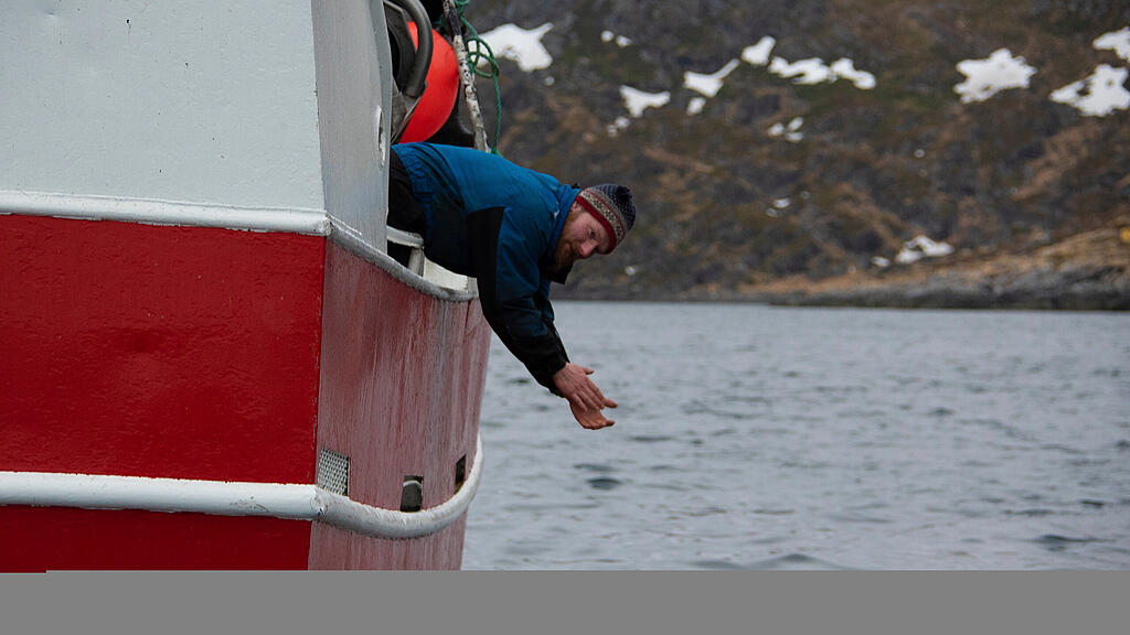 Wal, Norwegen