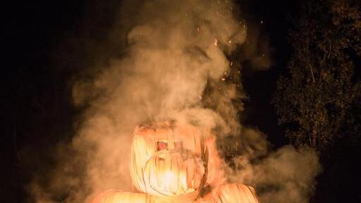 Burning Animal I