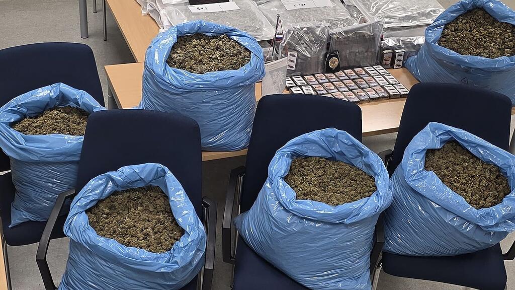 Drogennetzwerk hochgenommen: Polizei stellt 260 Kilogramm Cannabis sicher