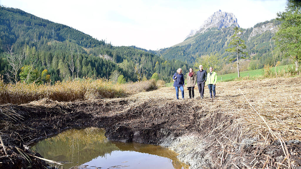 Tümpelbesichtigung Pongau