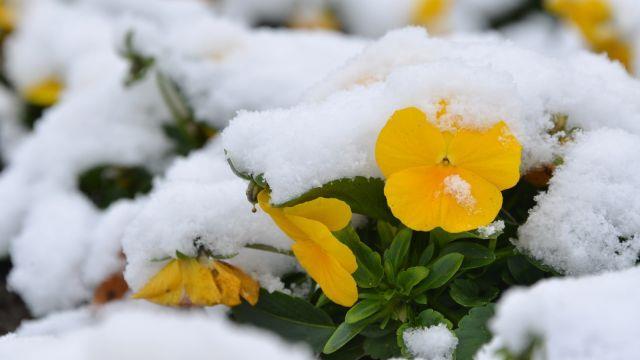 Winter in Gmunden