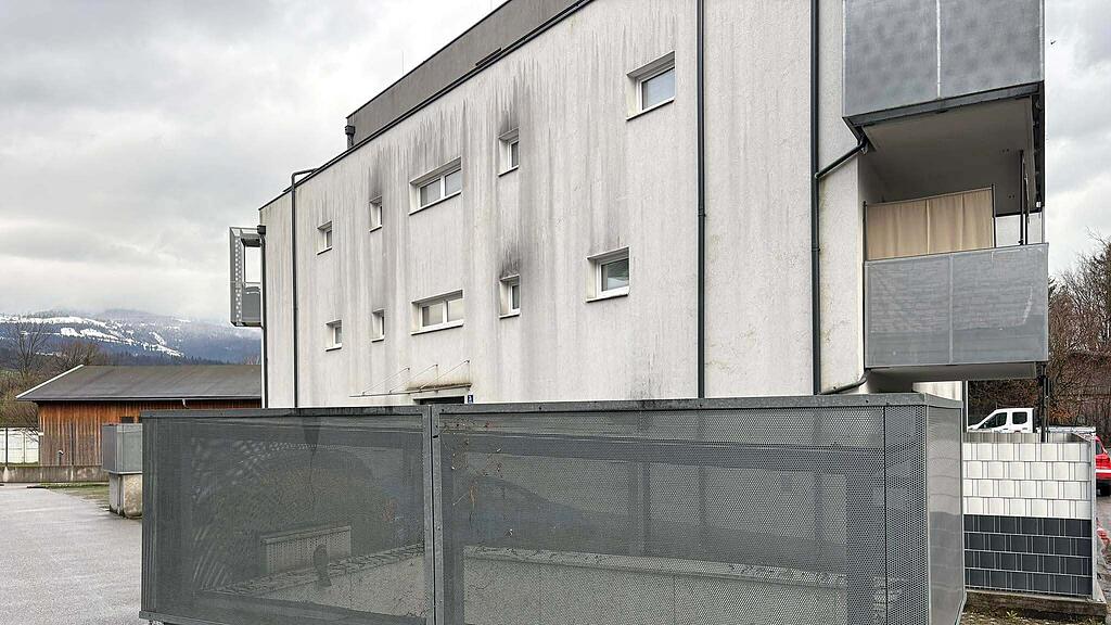 Falkenrettung Hallein