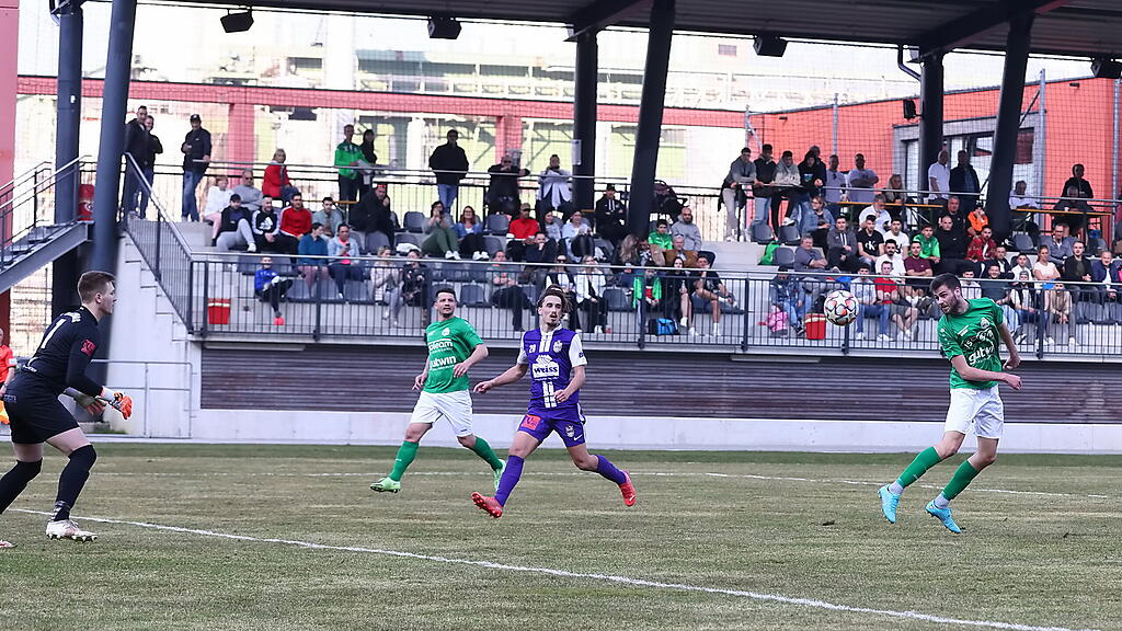 Hallein, Hallwang, Salzburger Liga