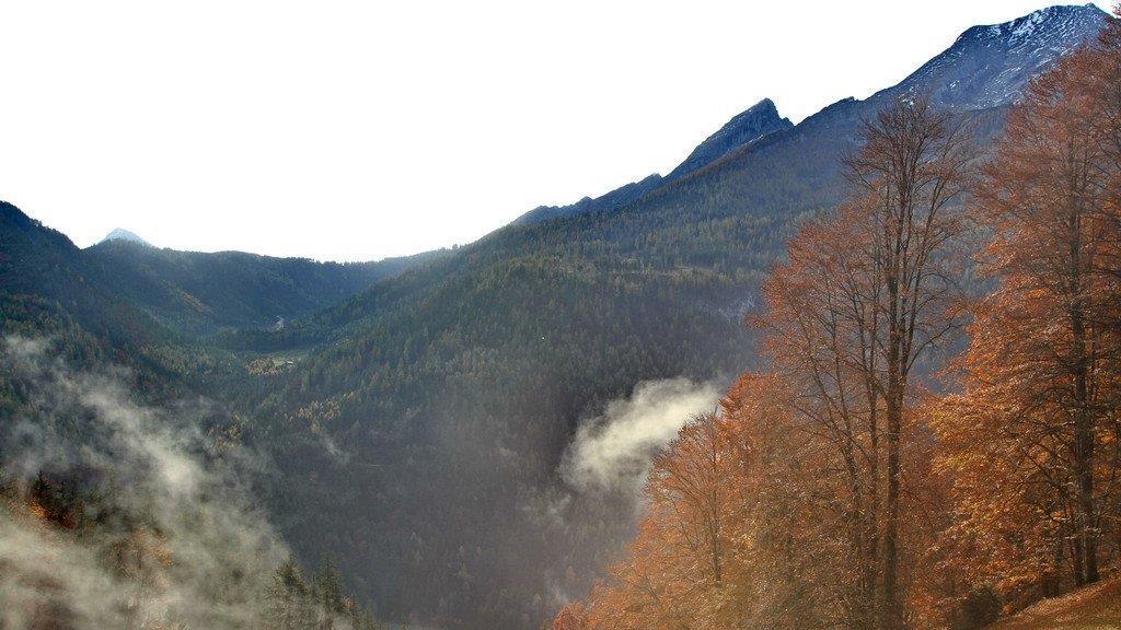 Herbstimpressionen in BGL