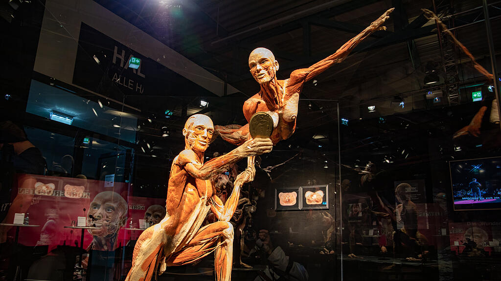 Ausstellung Körperwelten Salzburg I