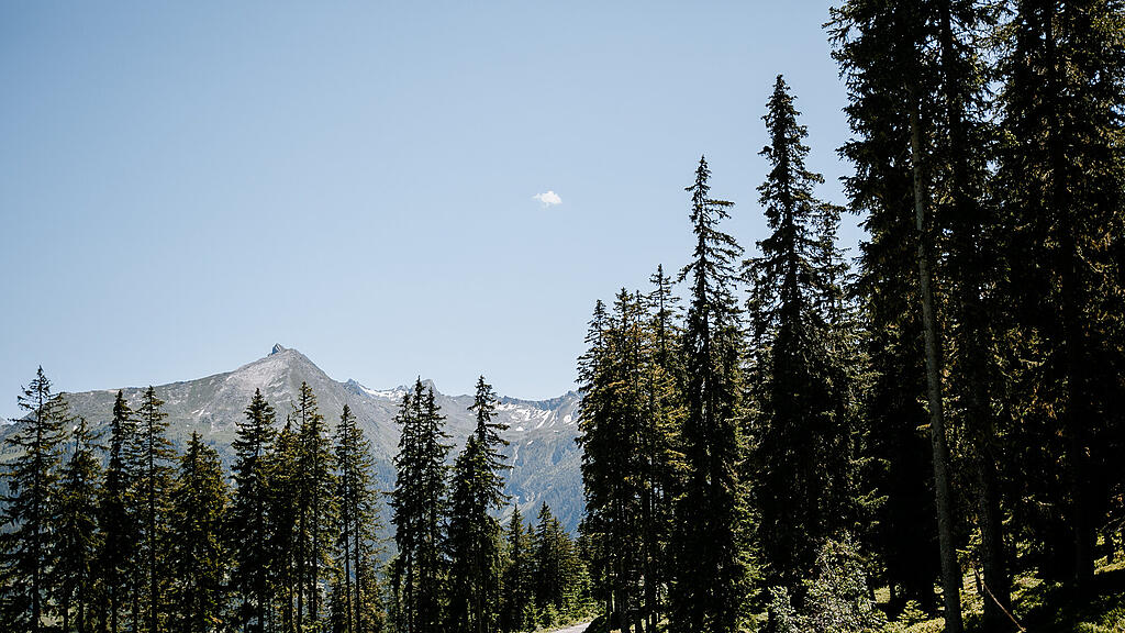 _K6B0594.jpg