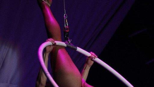 Circus Krone in Traunstein
