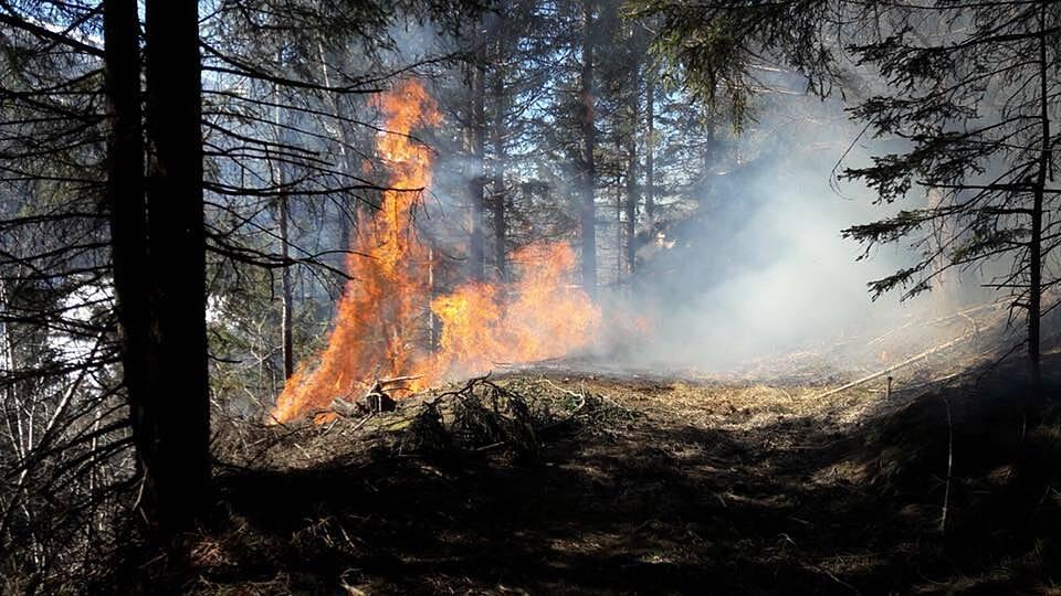 Das Feuer breitete sich rasch aus.