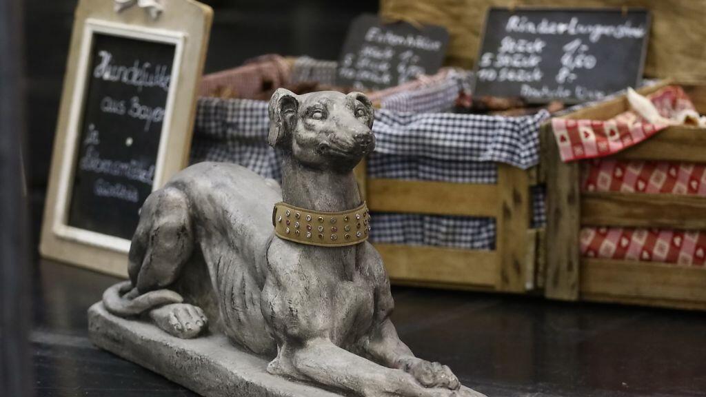 Hunde-Messe in Salzburg