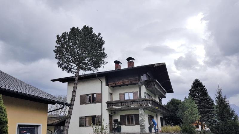Sturmtief "Herwart" zieht über Salzburg hinweg III