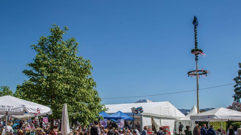 Maibaumaufstellen der FPÖ im Kuglhof
